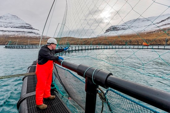 vonin_aquaculture_bird_nets_poles_faroe_islands